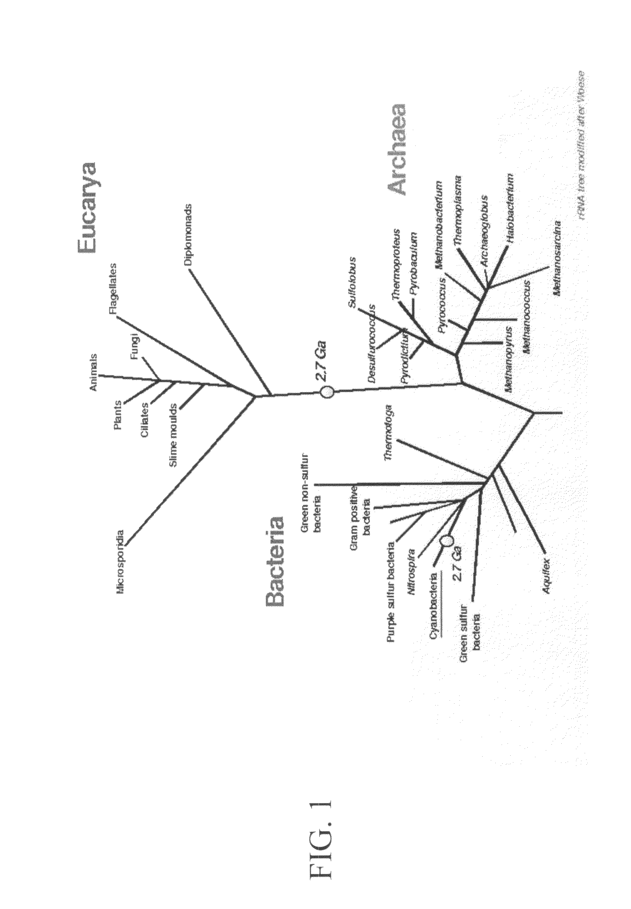 Method for determining the specific growth rate of distinct microbial populations in a non-homogeneous system