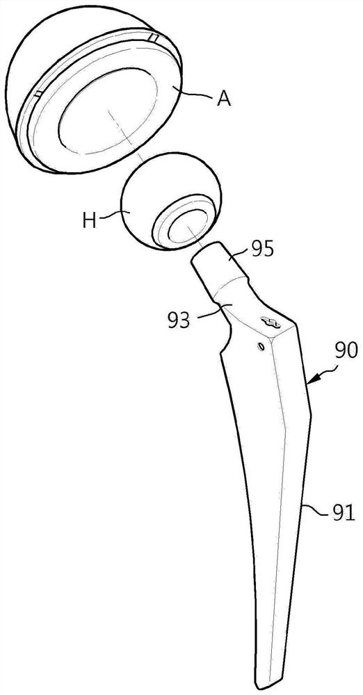 Femoral implant for animals