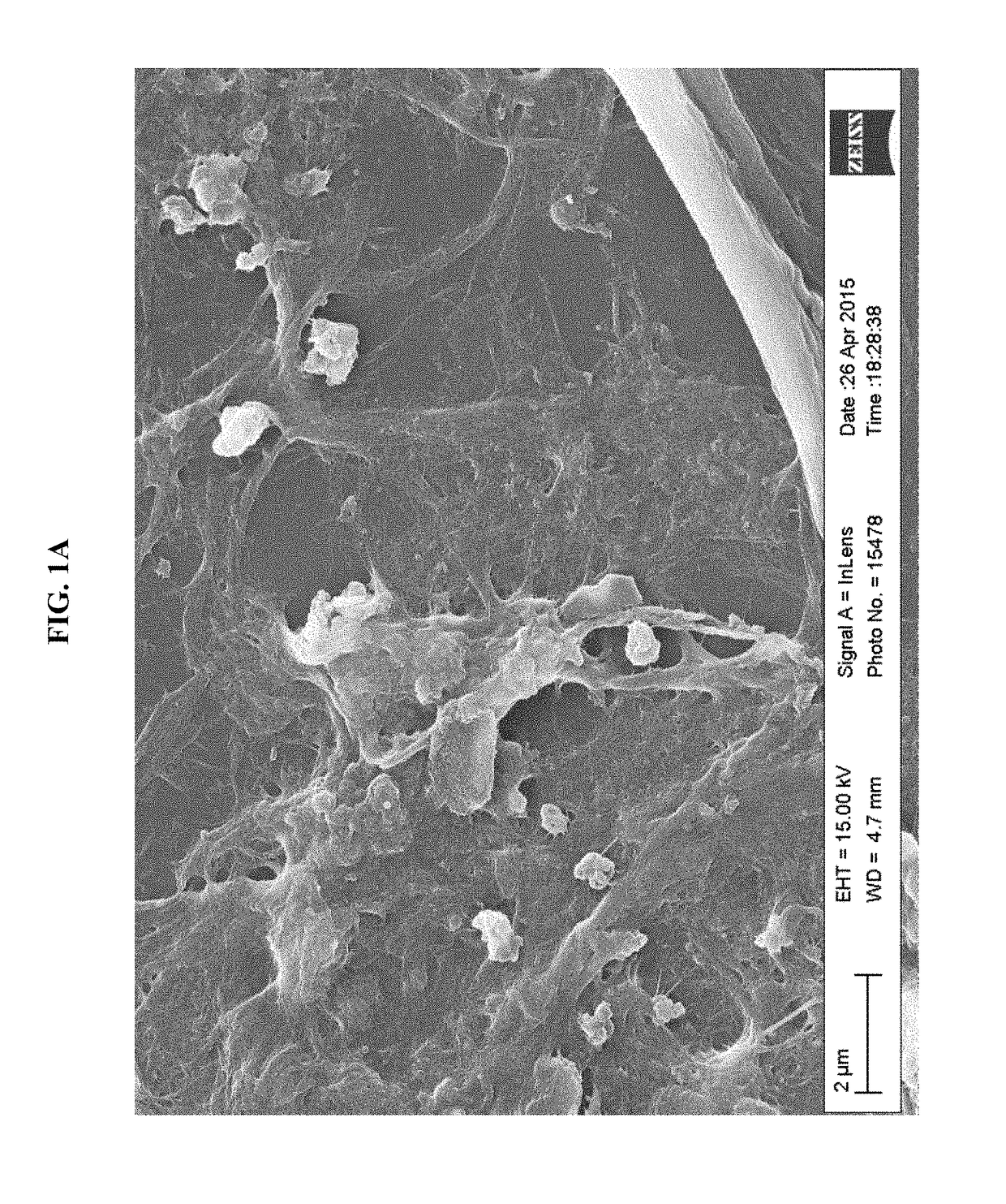 Processes for producing nanocellulose, and nanocellulose compositions produced therefrom