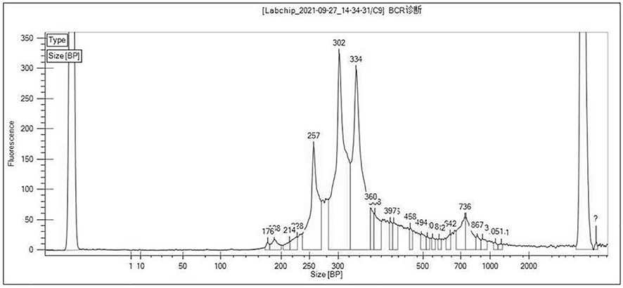 Kit and device for BCR/TCR gene rearrangement detection