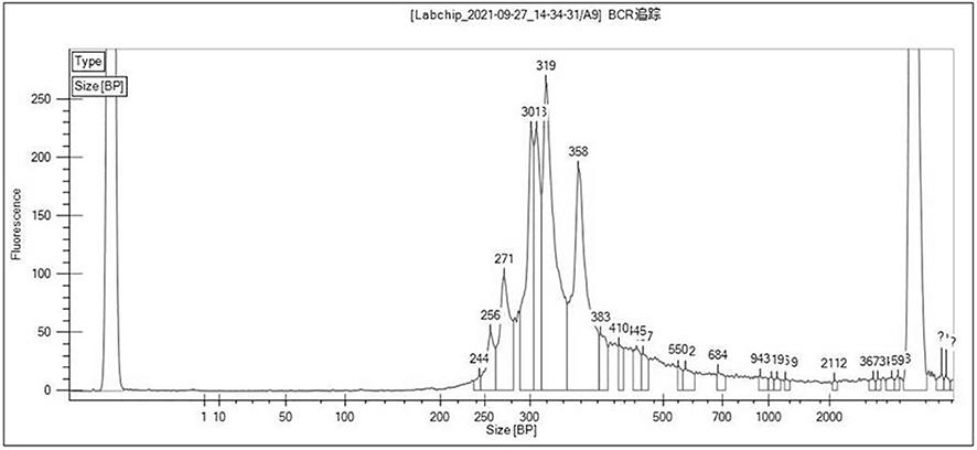 Kit and device for BCR/TCR gene rearrangement detection