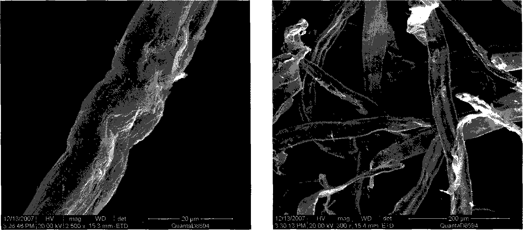 Method for promoting cellulolytic enzymes synthesis of trichoderma reesei by using dilute sulfuric acid treated pulp as carbon source