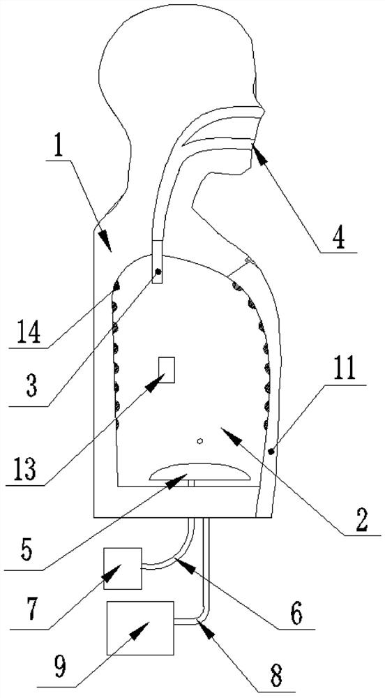 Simulation training platform for thoracic and pulmonary disease diagnosis and treatment teaching training