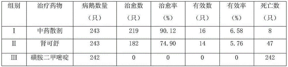 Traditional Chinese medicine composition for treating goose gout and preparing method thereof