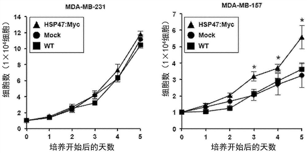 Agent using hsp47 inhibitor to suppress metastasis