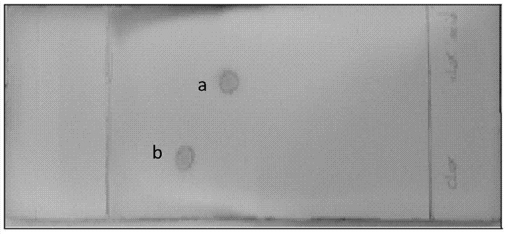 (5S, 6R) cloxacillin penicilloate as well as preparation method and application thereof