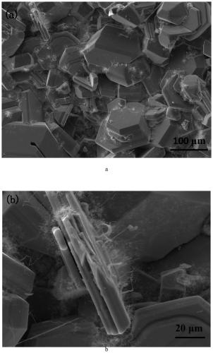 A kind of preparation method of co-growth of SIC nanowire and SIC-Mosi2-CRSi2 coating