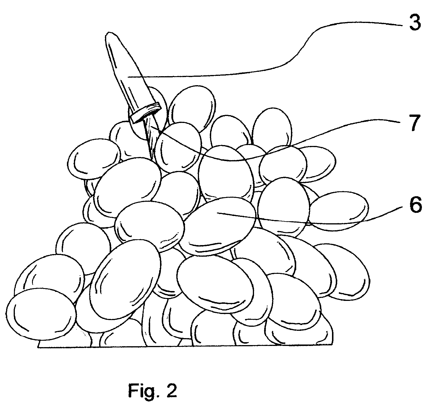 Preserving composition and product for harvesting fruits and vegetables, and method for its use