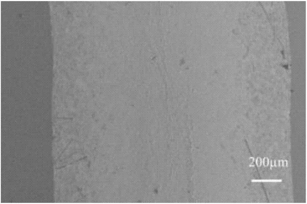 Preparation method and application of conductive ink based on metal nanowire and graphene oxide
