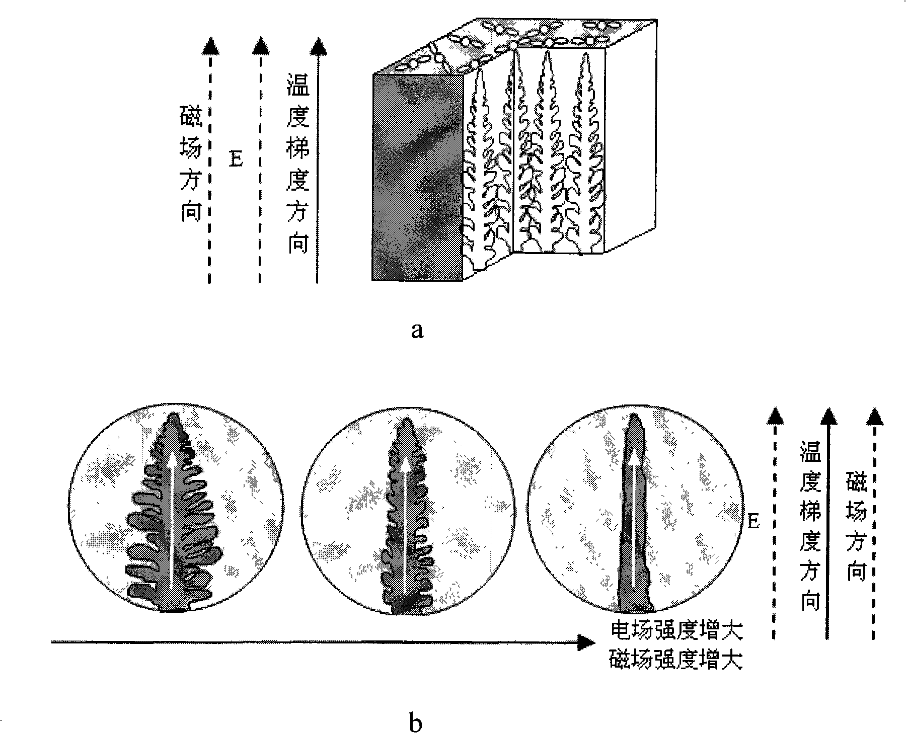 Method for preparing porous ceramic by electrostatic field and magnetic field co-inducing crystallization technique