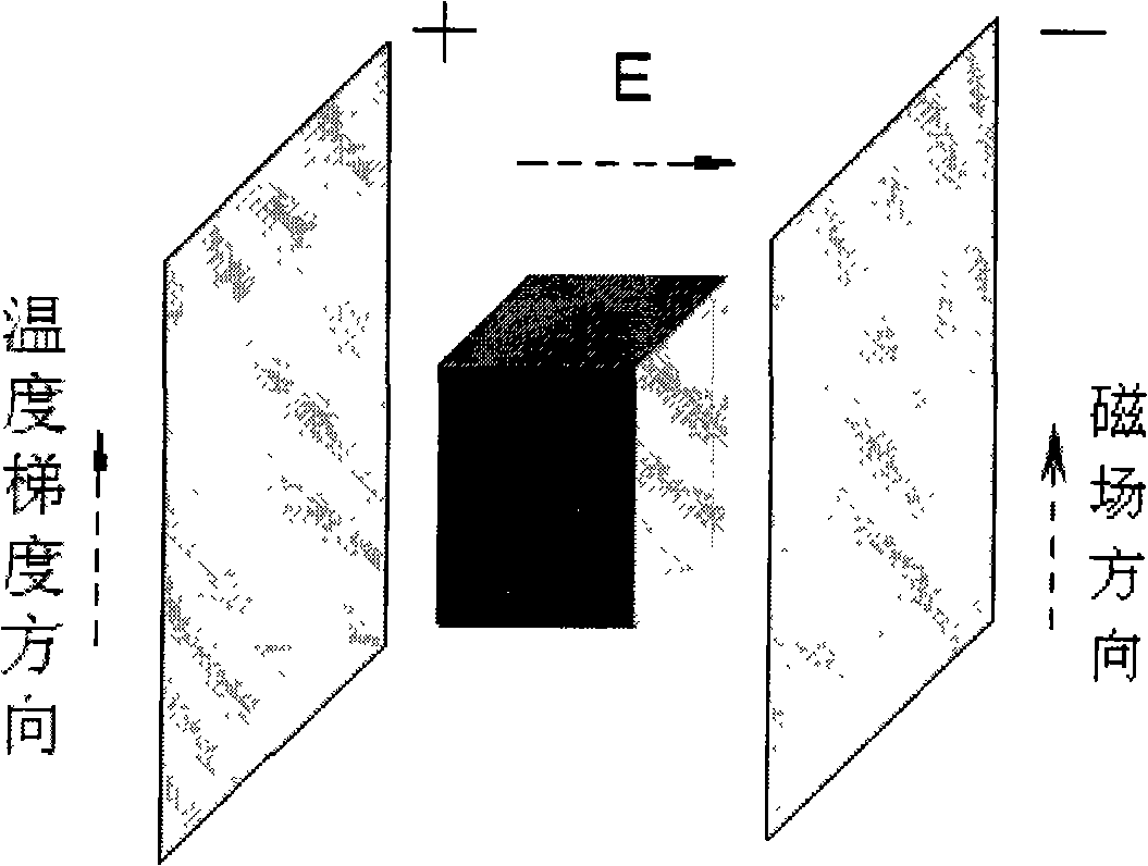 Method for preparing porous ceramic by electrostatic field and magnetic field co-inducing crystallization technique