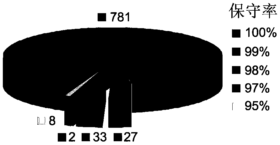 Application of outer membrane protein Omp22 as acinetobacter baumannii vaccine target