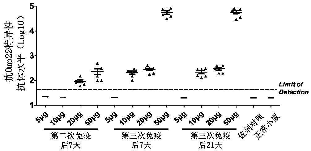 Application of outer membrane protein Omp22 as acinetobacter baumannii vaccine target