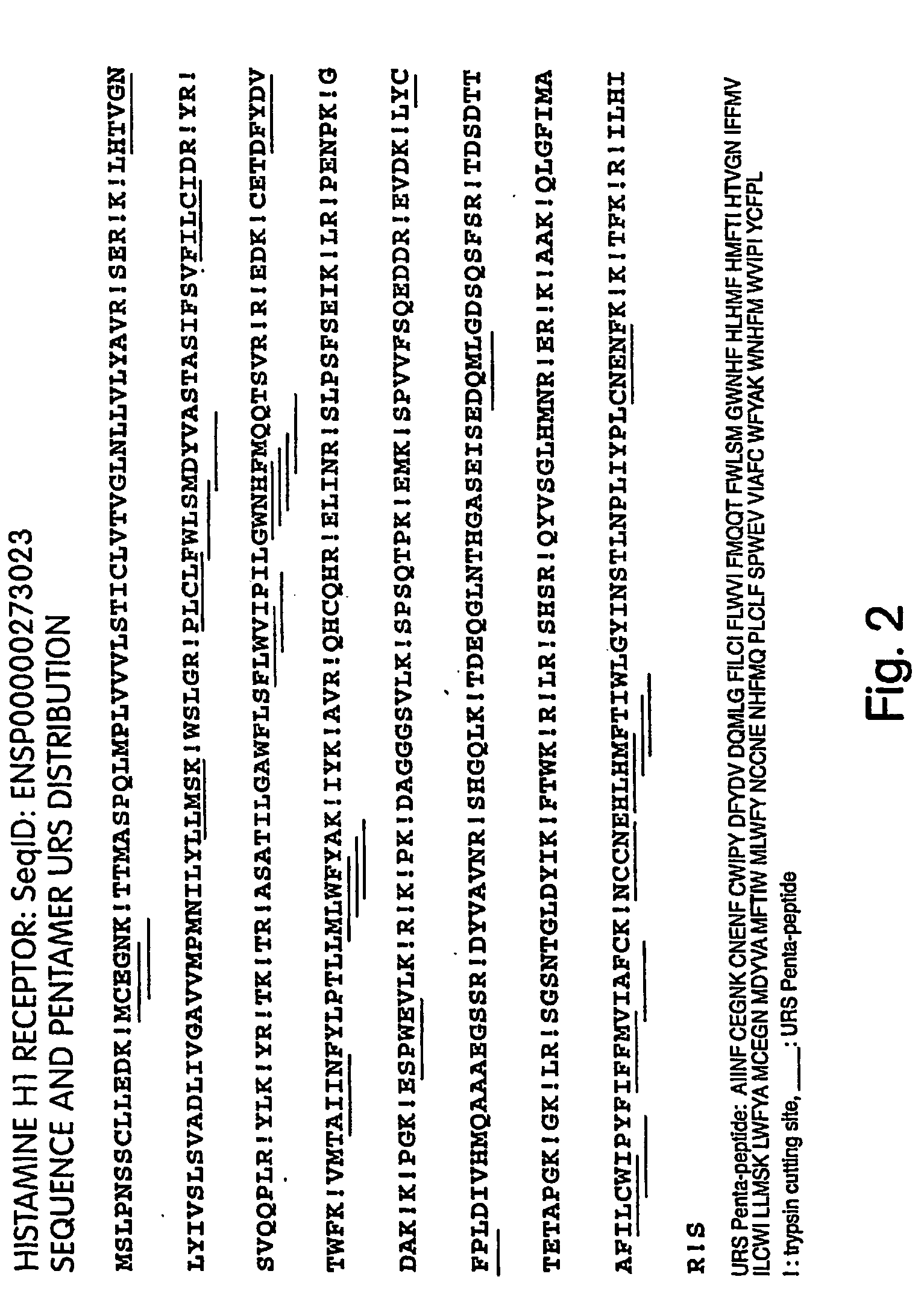 Unique recognition sequences and methods of use thereof in protein analysis