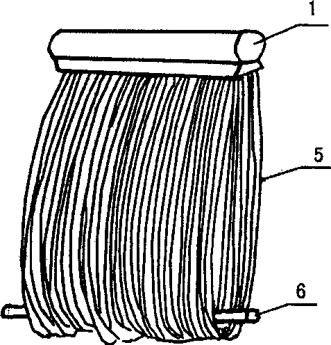A curtain type membrane assembly