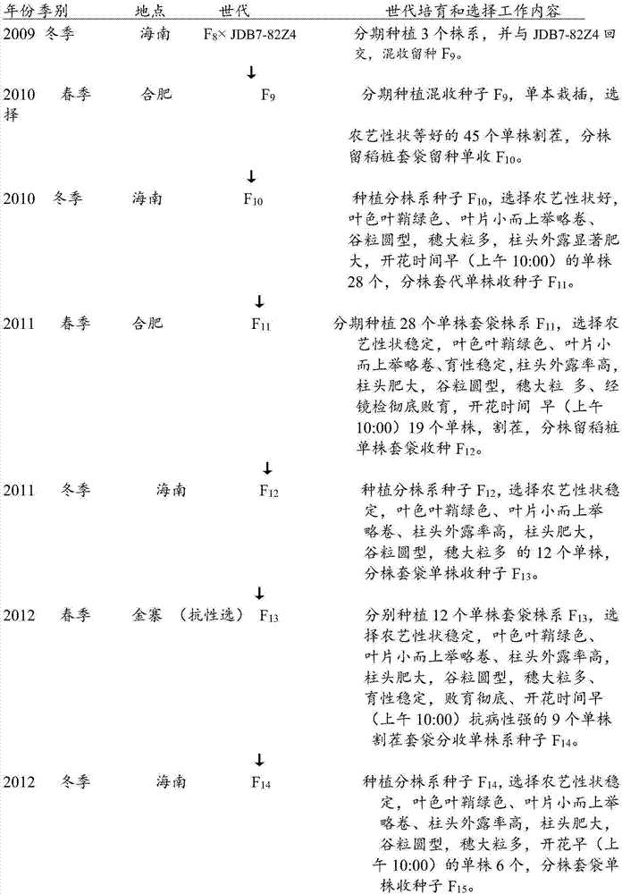 Japonica two-line thermo-photo-sensitive genie male sterile line seed-selection method