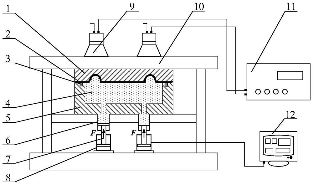 Device for assisting forming of viscous medium of combustion chamber cap through ultrasonic vibration