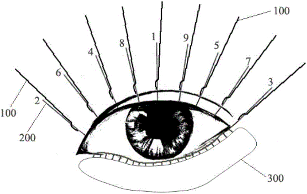 Spiral eyelash grafting method