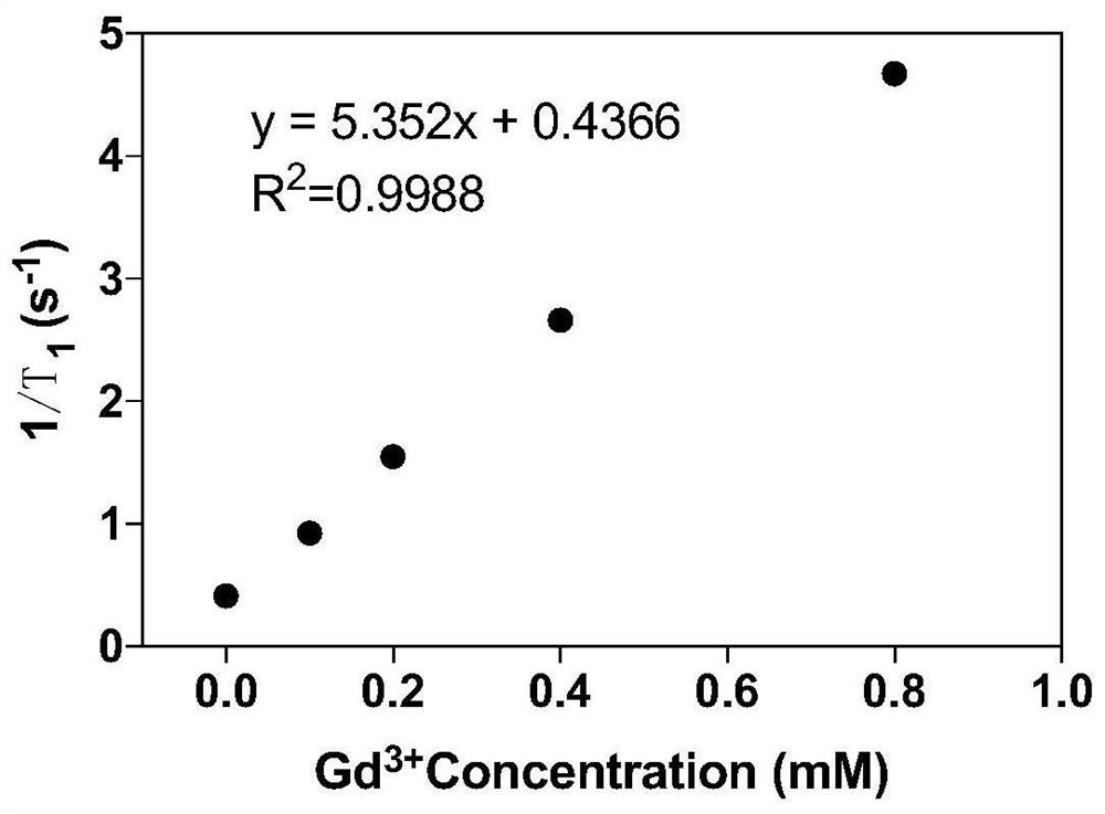 Gadolinium-functionalized copper sulfide nanoparticle and preparation method and application thereof