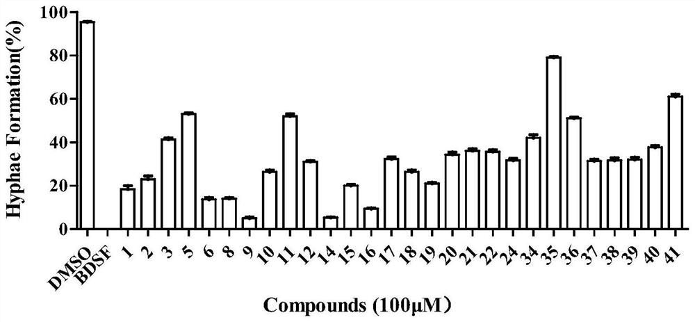 A kind of 2-alkylaminoquinoline compound for preventing and treating Candida albicans and its preparation method and application