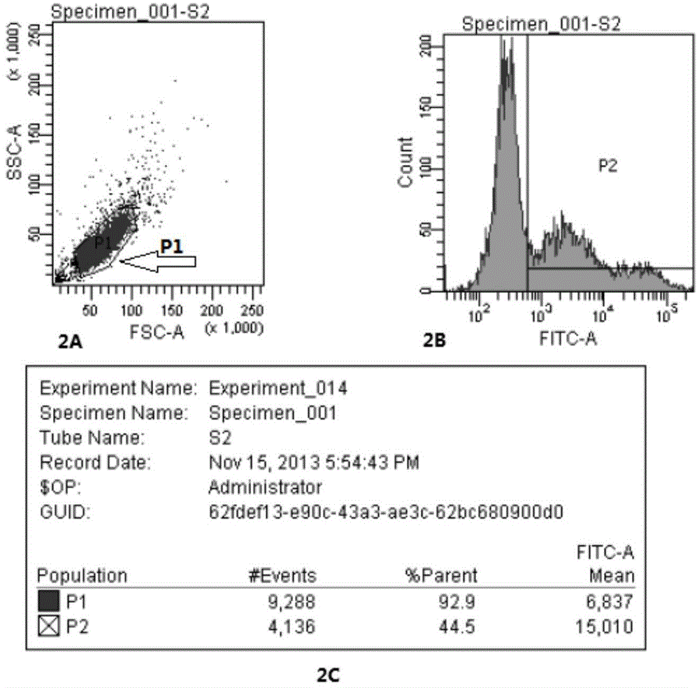 A kind of radiotherapy targeted sensitizer and application thereof