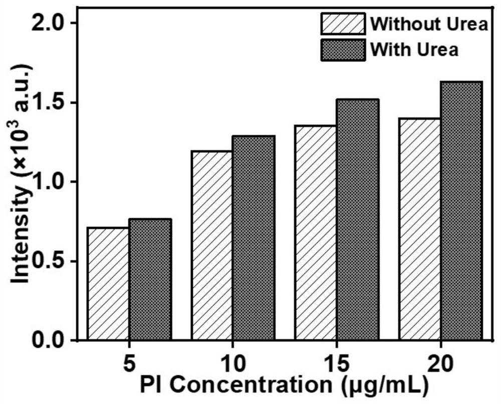 Transmembrane drug delivery method based on bio-enzyme driven micron pump