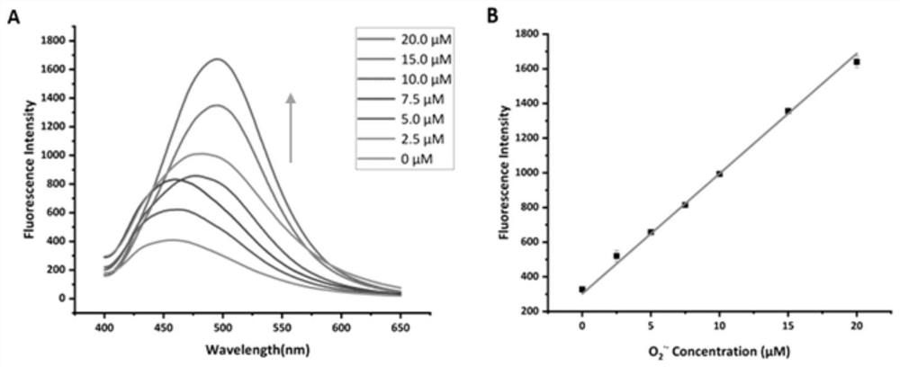 Fluorescent probe compound, preparation method and application of fluorescent probe compound as superoxide anion indicator