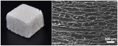 Anisotropic wood-based nanofiber aerogel and preparation method thereof