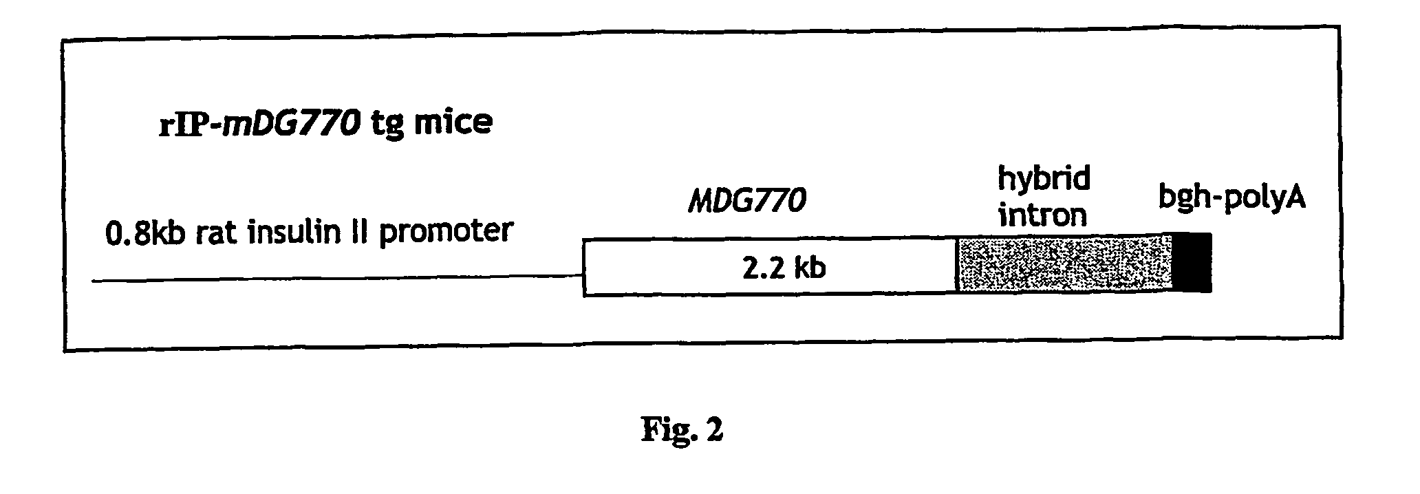 Method for Preventing and Treating Diabetes Using Neurturin