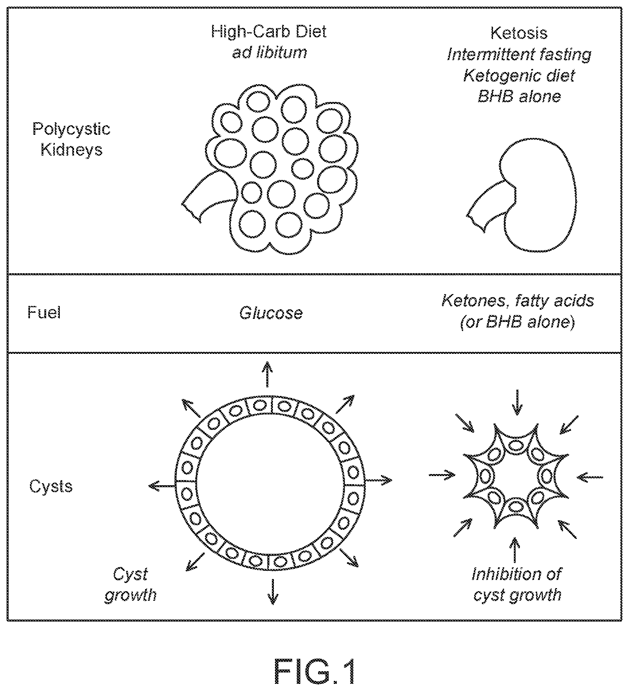 Methods and Compositions for Supporting Renal Health