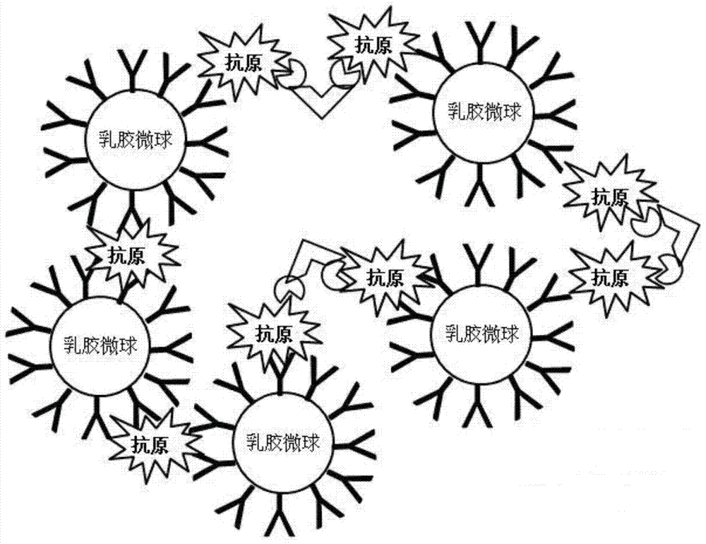 Ultrasensitive latex-enhanced immunoturbidimetric detection reagent and its detection method and application