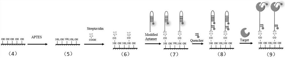 Method for fixed-point quantitative detection of cancer marker based on micro-fluidic chip