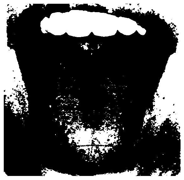 Tongue image matching method, electronic device, computer device and storage medium