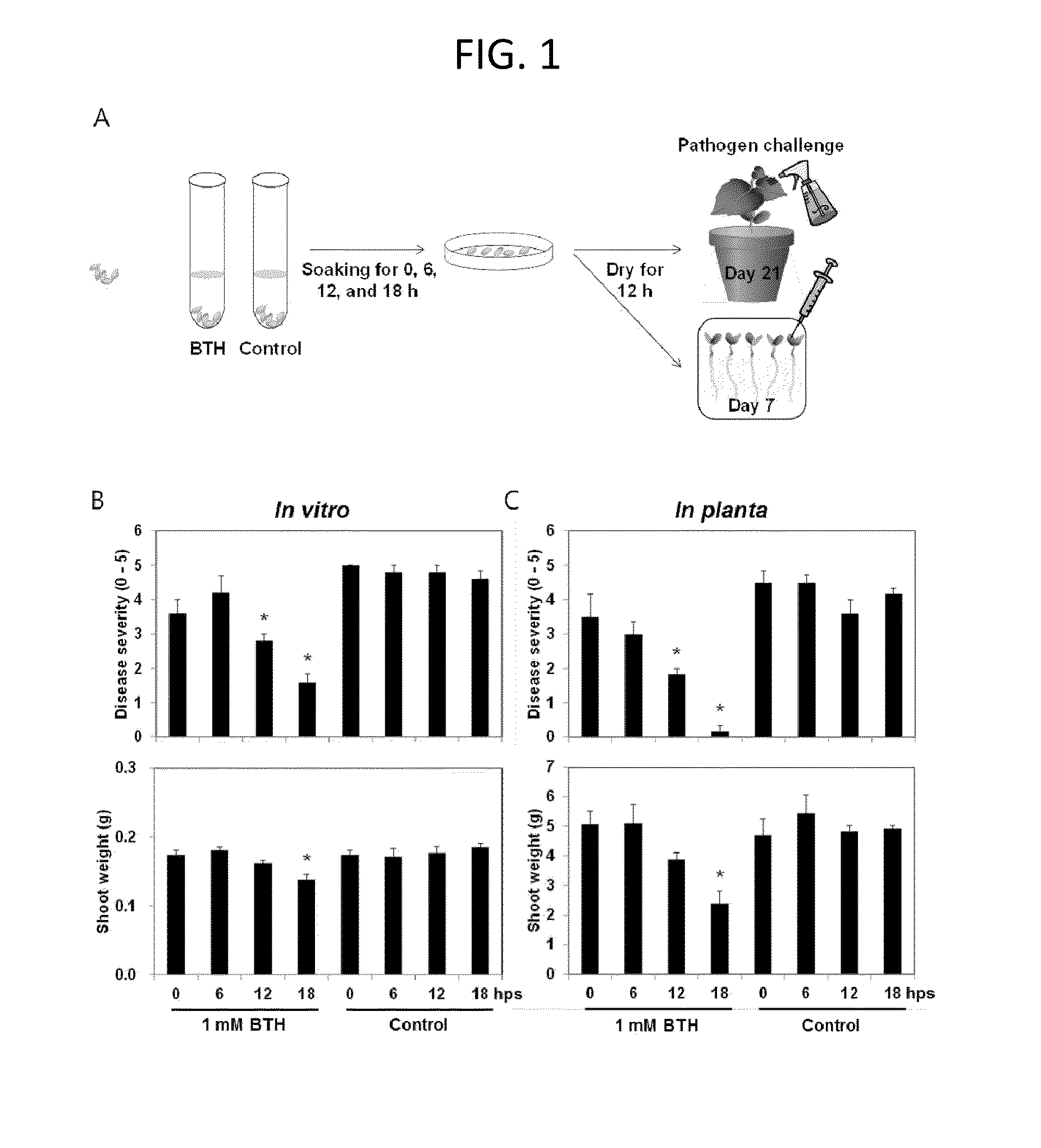 Method for eliciting plant immune responses by seed priming of heat-treated bacillus culture solution