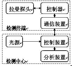 Portable Raman spectrum measuring device and system for quickly detecting article