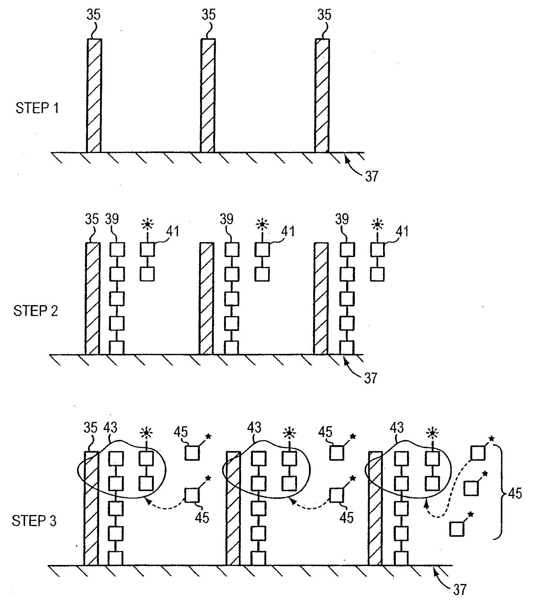 Use of Single-Stranded Nucleic Acid Binding Proteins in Sequencing