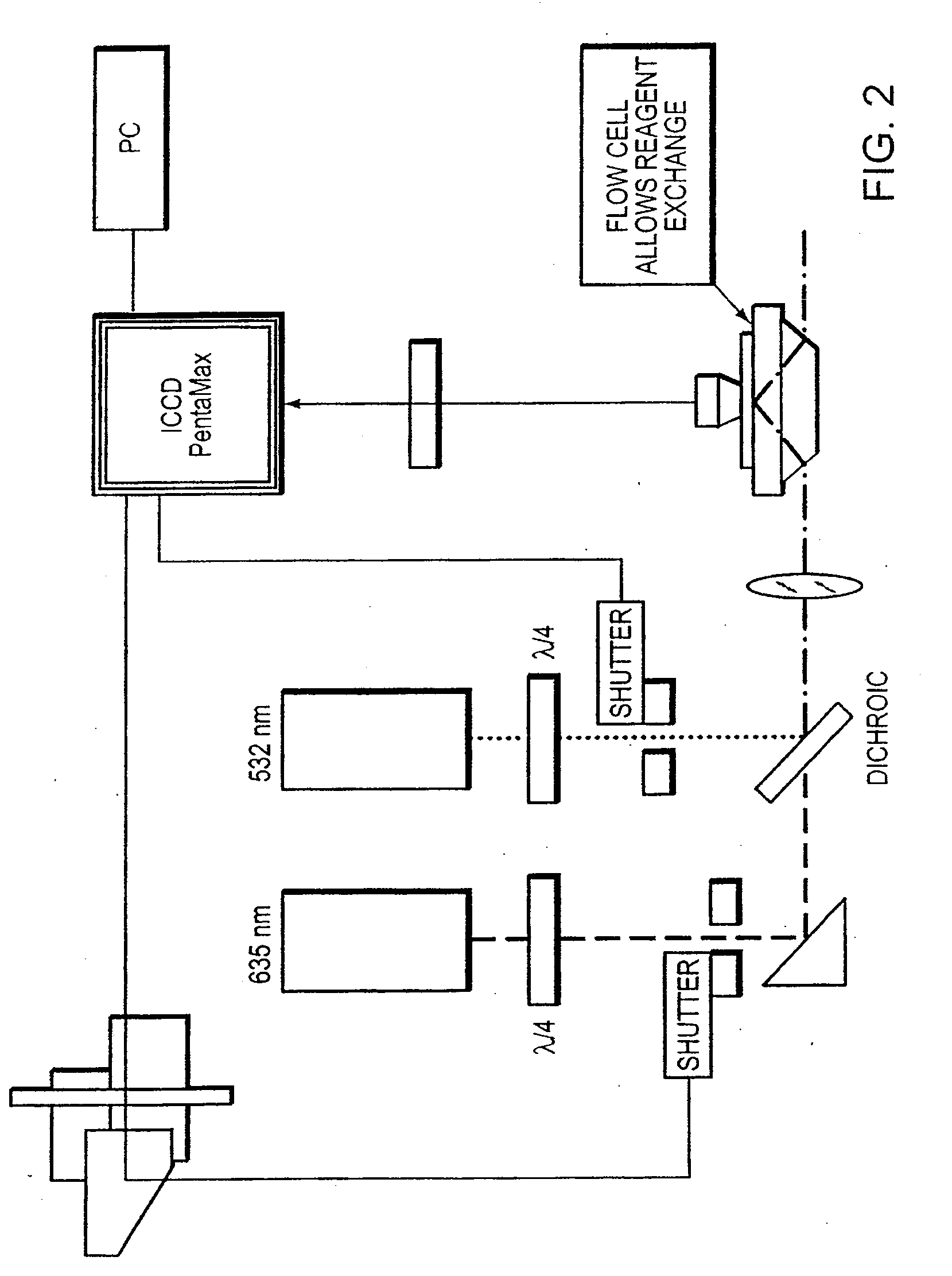 Use of Single-Stranded Nucleic Acid Binding Proteins in Sequencing