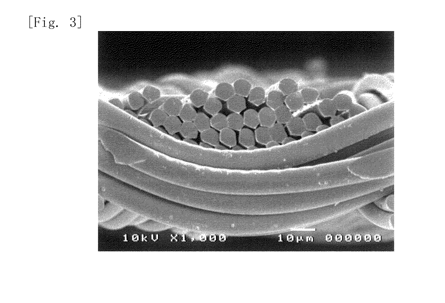 Base fabric for stent graft, and stent graft