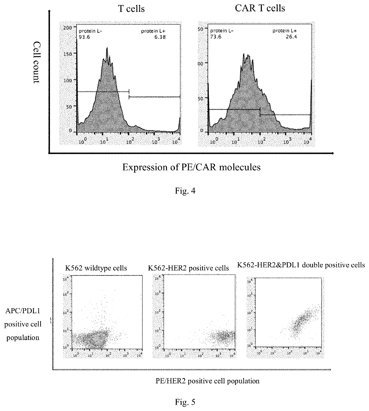 Genetically engineered dual-targeting chimeric antigen receptor and use thereof