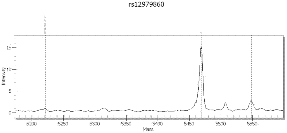 Primers, kit and method for detection of polymorphism of human IL28B gene
