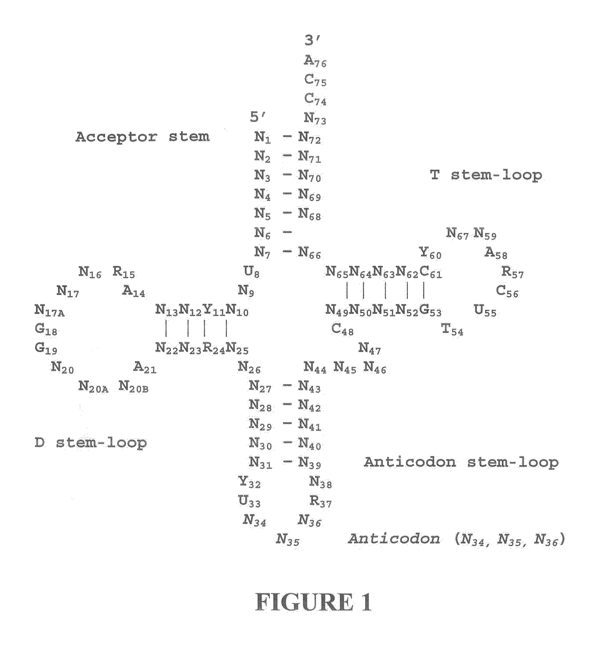 Protein synthesis modulators