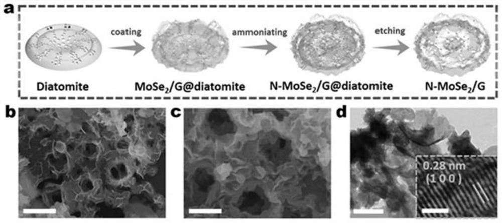 A kind of synthesis method of nitrogen-doped molybdenum selenide, nitrogen-doped molybdenum selenide and its application