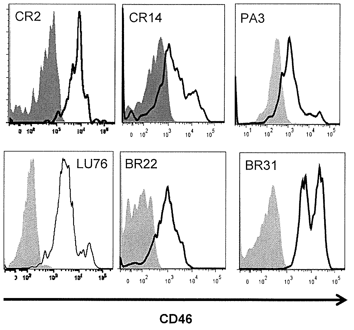 Identification and enrichment of cell subpopulations