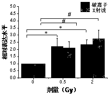 Serum miRNA marker and method thereof for detecting ionizing radiation injury by serum miRNA marker