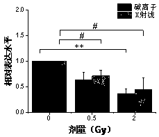 Serum miRNA marker and method thereof for detecting ionizing radiation injury by serum miRNA marker