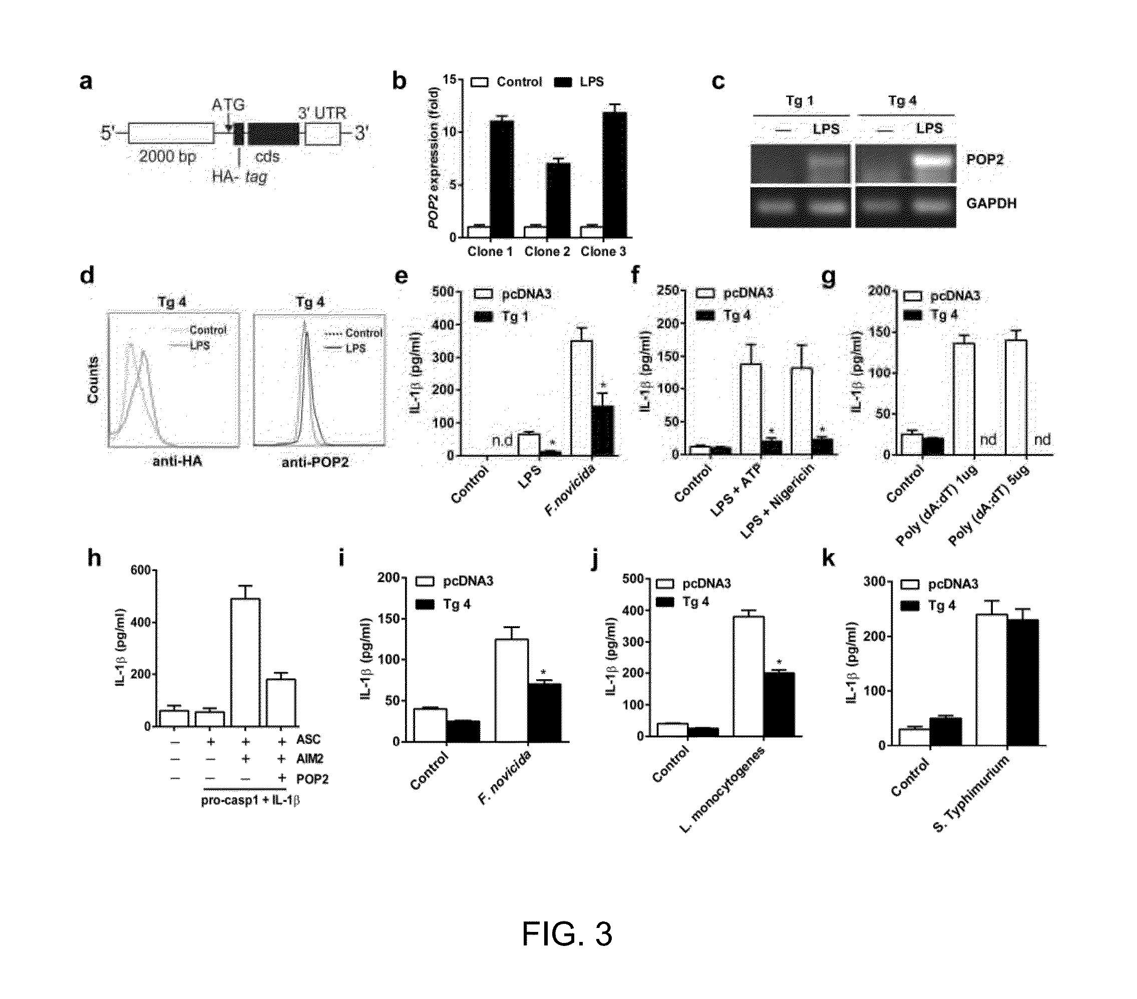 Humanized mice expressing the pyrin domain only protein 2