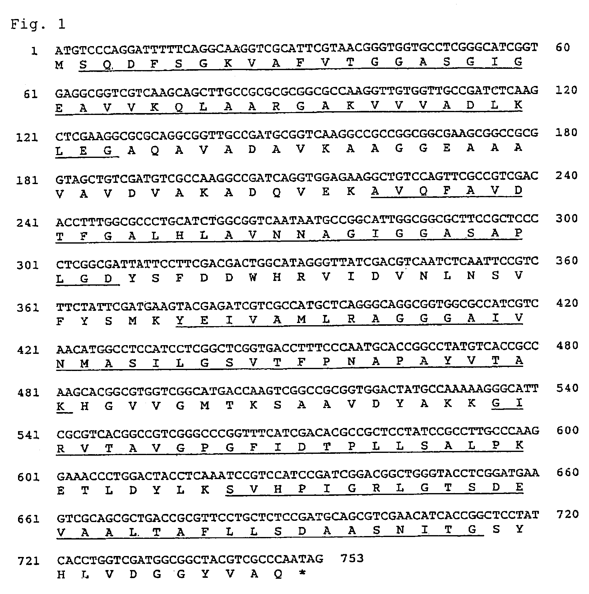 Carbonyl reductase, gene thereof and method of using the same