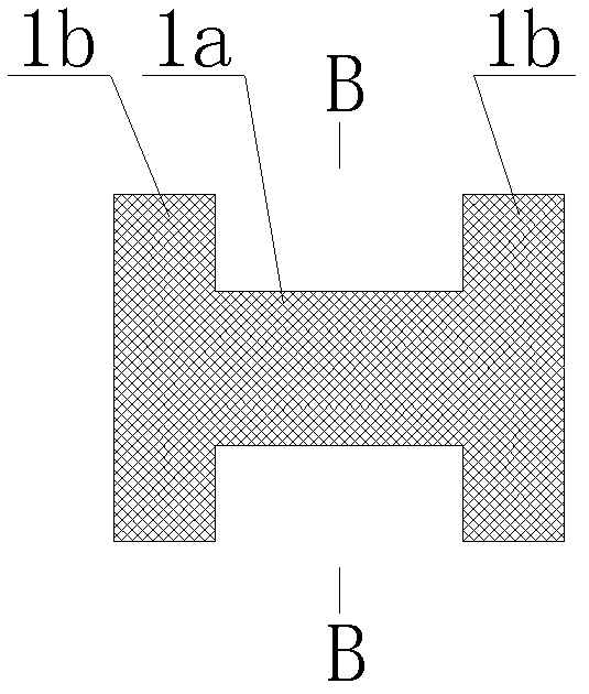 Paranasal sinus holder and special conveying appliance thereof