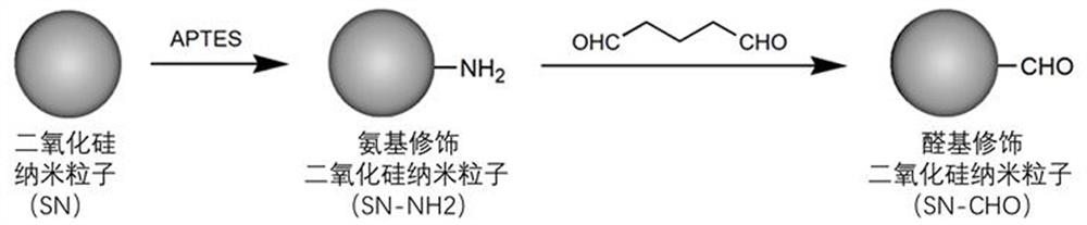 A kind of phosphatidic acid molecularly imprinted fluorescent nanoparticle and its preparation method