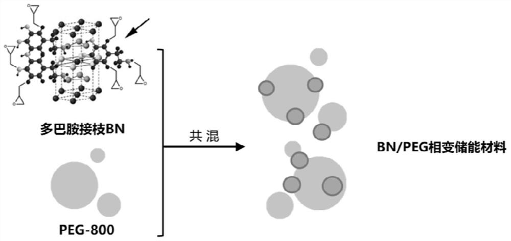 A kind of energy storage wood and semi-interpenetrating network regulation method using boron nitride as filler